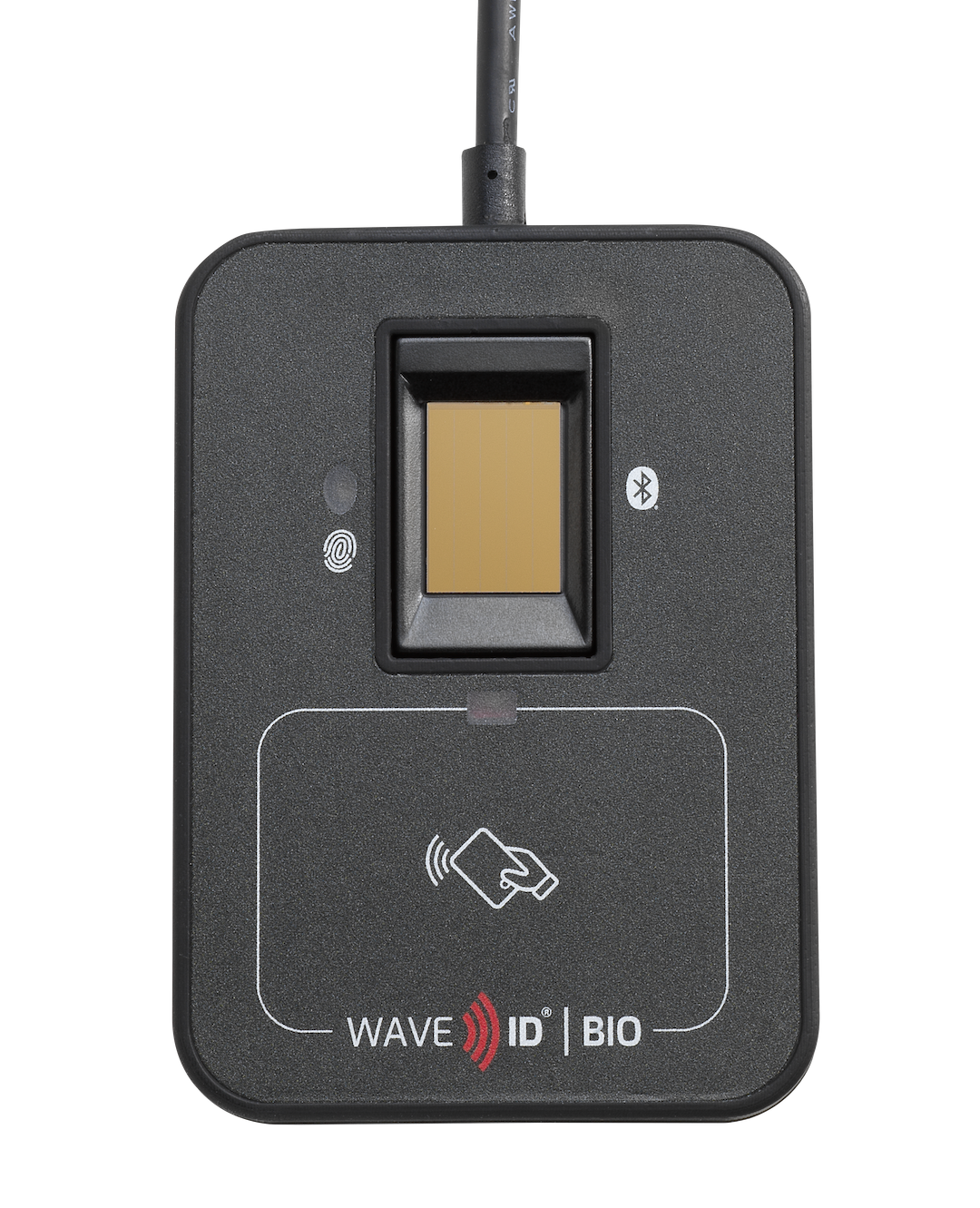 Wave-ID-Bio_Front_0010_0.png